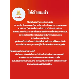 ส่งตรงจากกรุงเทพฯ Hardware Tools MALL ถังแรงดันปั๊มน้ำ 2ลิตร ถังไนโตรเจน อะไหล่ปั๊มแรงดันคงที่ ลดกระตุก ยืดอายุปั๊มน้ำดี