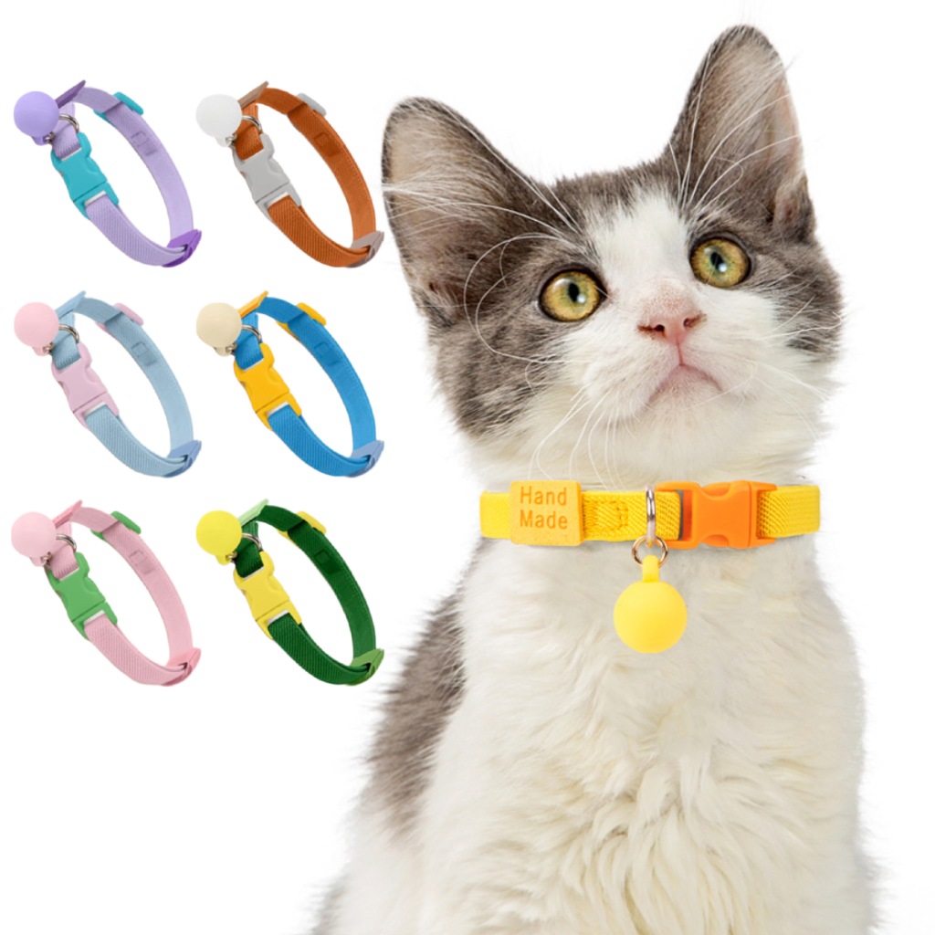 PP-629 ปลอกคอหลากสีสดใส 💕 สีพาสเทลละมุนตา ใส่แล้วดูน่ารักขึ้นอีกระดับ 🐶🐱