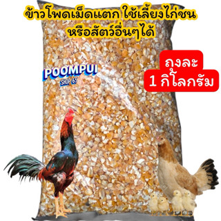ข้าวโพดเม็ดแตก ถุงละ 1 กิโลกรัม สำหรับไก่ชน และสัตว์อื่นๆได้…