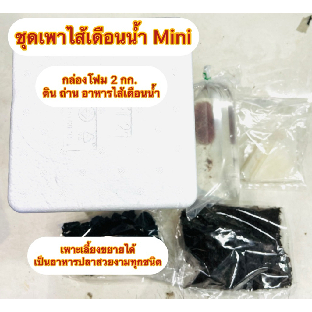 ชุด Mini ชุดเพาะไส้เดือนน้ำ 20 กรัม พร้อมกล่องโฟม 2 กก. ดิน ถ่าน แผ่นแป้ง (สำหรับเป็นอาหารปลาสวยงาม)