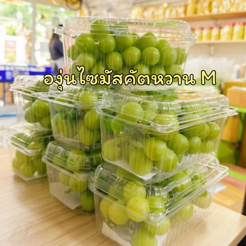 องุ่นไซมัสคัตหวาน ไซค์ M  (น้ำหนัก 500กรัม)เนื้อเยลลี่ หวาน กรอบอร่อย