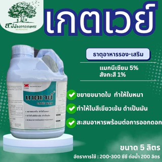 เกตเวย์ ขนาด 5 ลิตร เทคโนคร็อป ธาตุรอง-เสริม ขยายขนาดใบ ใบหนา ทำให้ใบสีเขียวเข้ม ดำเป็นมัน สะสมอาหารพร้อมต่อการออกดอก