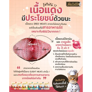[48ซอง] Bellotta อาหารแมวเปียกแมว ไม่เค็ม ไม่เติมเกลือ เบลลอตต้า ลูกแมว–แมวโต ขนาด 65–85g