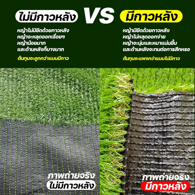 รูปภาพ 2