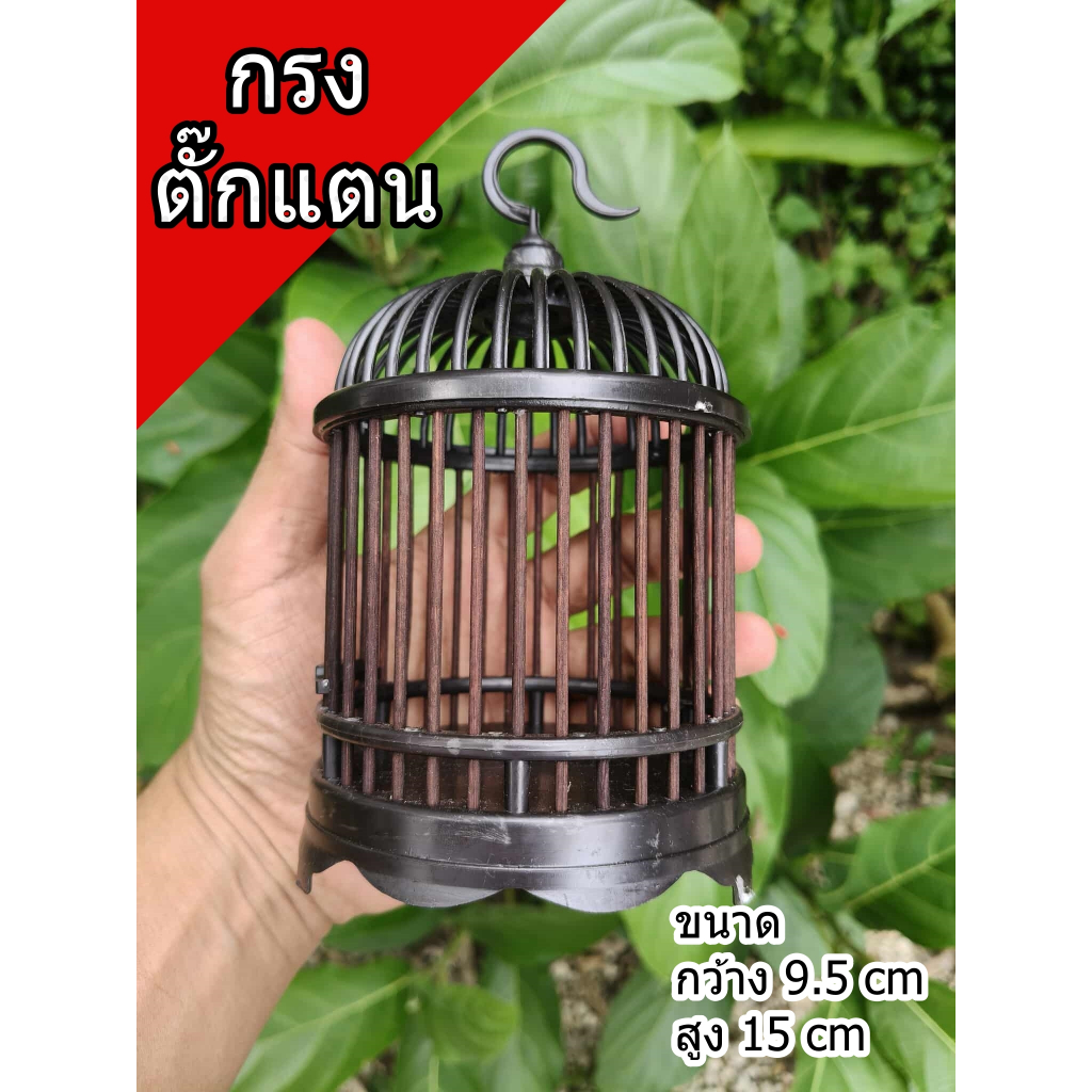 กรงตั๊กแตนและกรงจิ้งหรีด ทรงกลม หลังคาโดม ราคาถูก