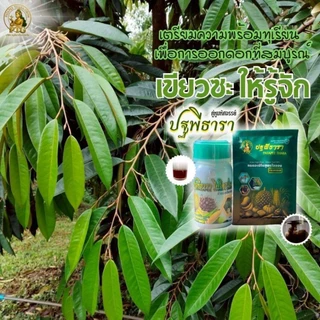 ชุดคู่หูมหัศจรรย์ปฐพีธารา สูตรดั้งเดิม