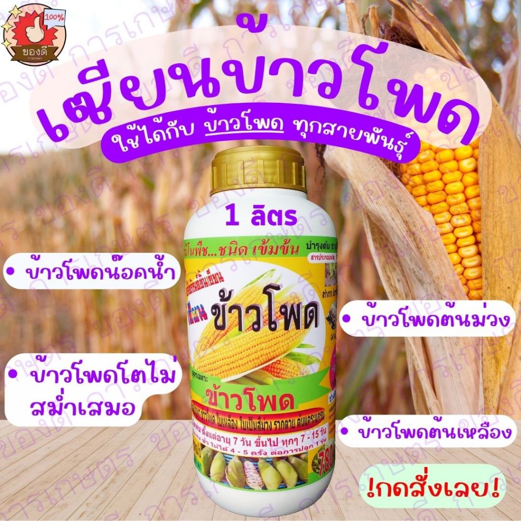 เซียนข้าวโพด 1 ขวด 1,000 ซีซี ฮอร์โมนฉีดข้าวโพด ฮอร์โมนพืช อะมิโน สาหร่าย ปุ๋ยสูตร ยาฉีดพืช ปุ๋ยฉีดข้าวโพด ปุ๋ยทางใบ