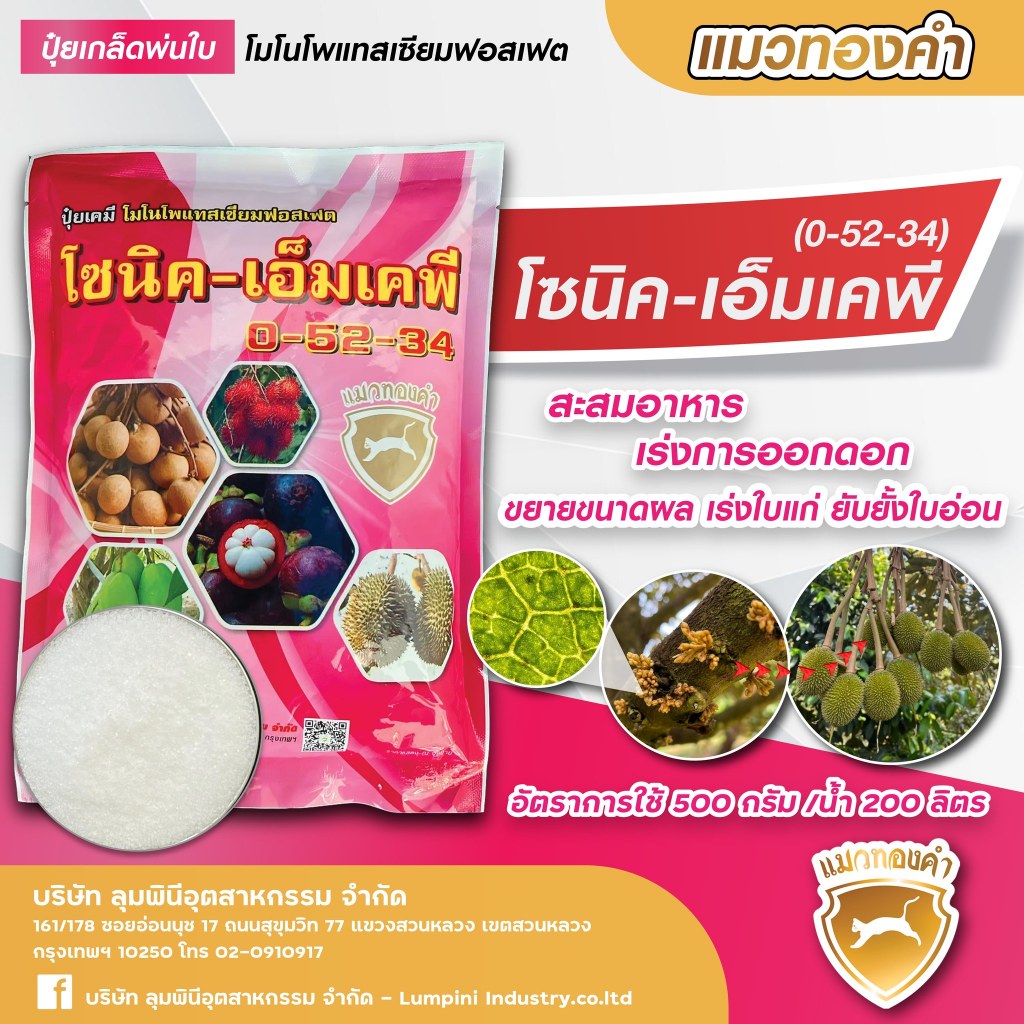 0-52-34ตราแมงทองคำ ปุ๋ยเกล็ด 0-52-34 (โมโนโพแทสเซียมฟอสเฟต) ขนาดบรรจุ 1 กิโลกรัม ช่วยจริญเติบโต