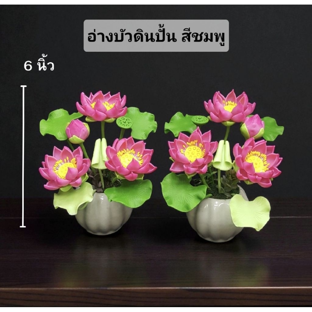 ดอกบัวหลวงดินไทย (รับเป็นคู่ กดสั่ง 2 แจกัน) จัดใส่กระถางเซรามิค ความสูงประมาณ 6 นิ้ว - รูปที่ 2