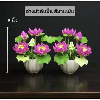ดอกบัวหลวงดินไทย (รับเป็นคู่ กดสั่ง 2 แจกัน) จัดใส่กระถางเซร…