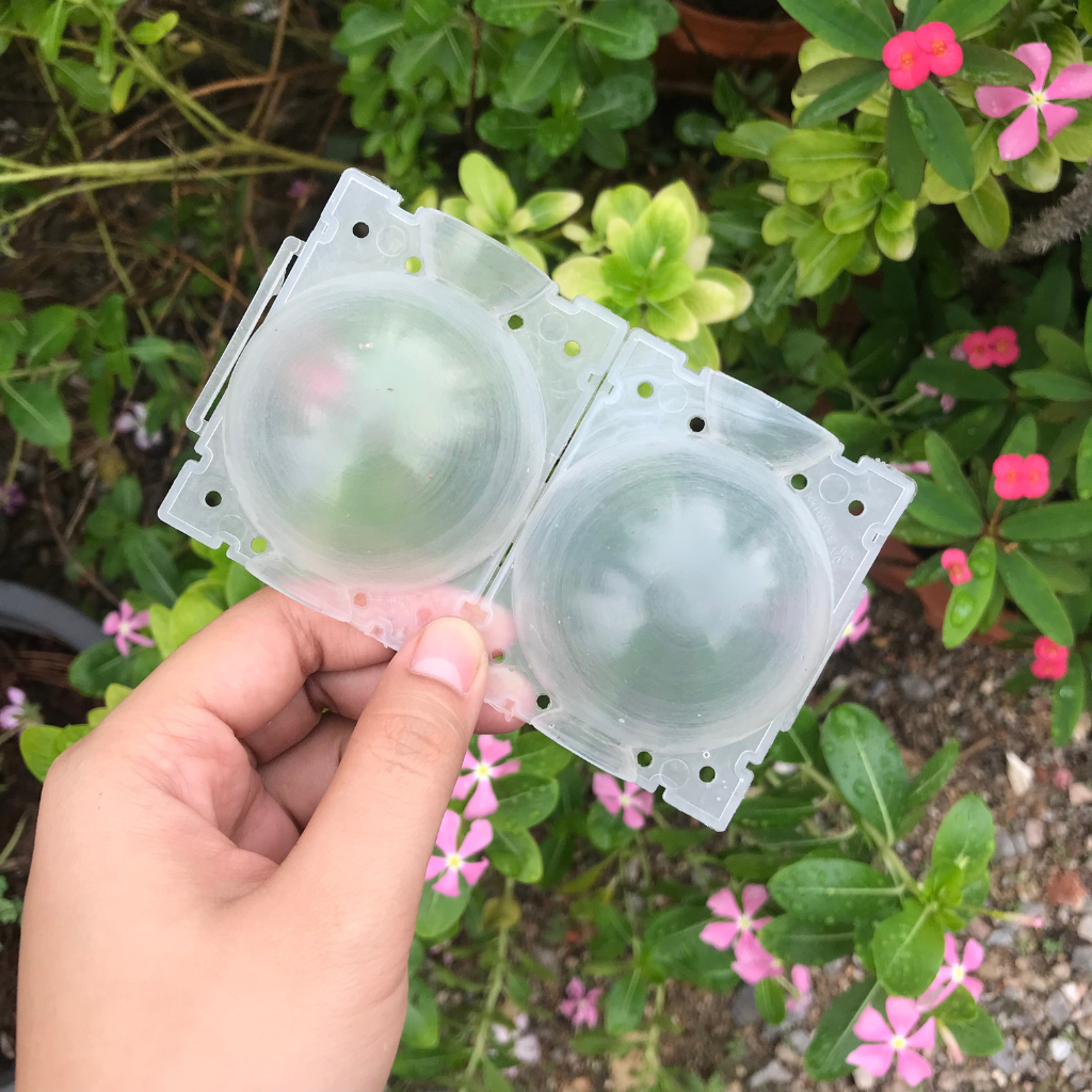 A03 ตุ้มตอนกิ่งต้นไม้ 1 ชิ้น สีดำสีขาวและสีใส ขนาด 5 cm. และ 8 cm. สินค้าพร้อมจัดส่ง
