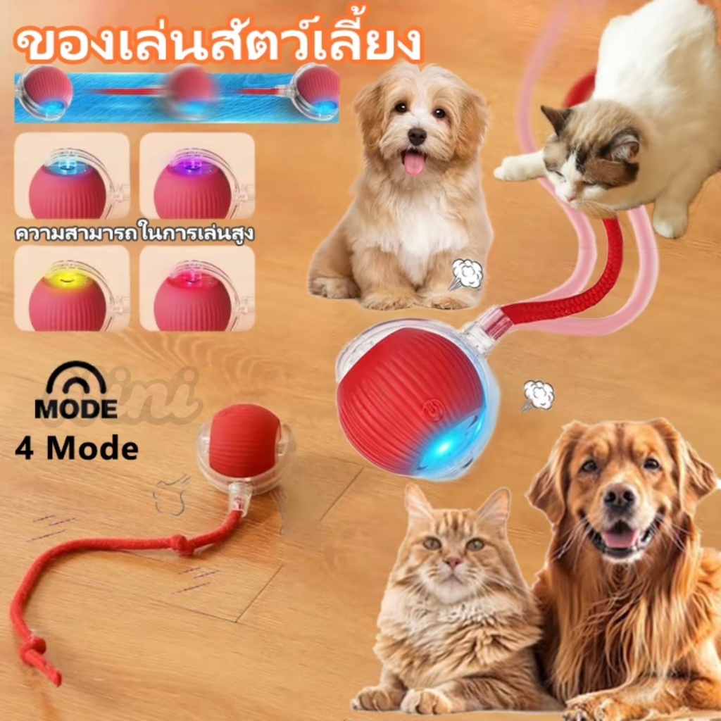 ของเล่นแมวอัจฉริยะ ลูกบอลกลิ้งอัตโนมัติ พร้อมการออกแบบหางปลอม ของเล่นสัตว์เลี้ยงแบบ แบบชาร์จไฟได้