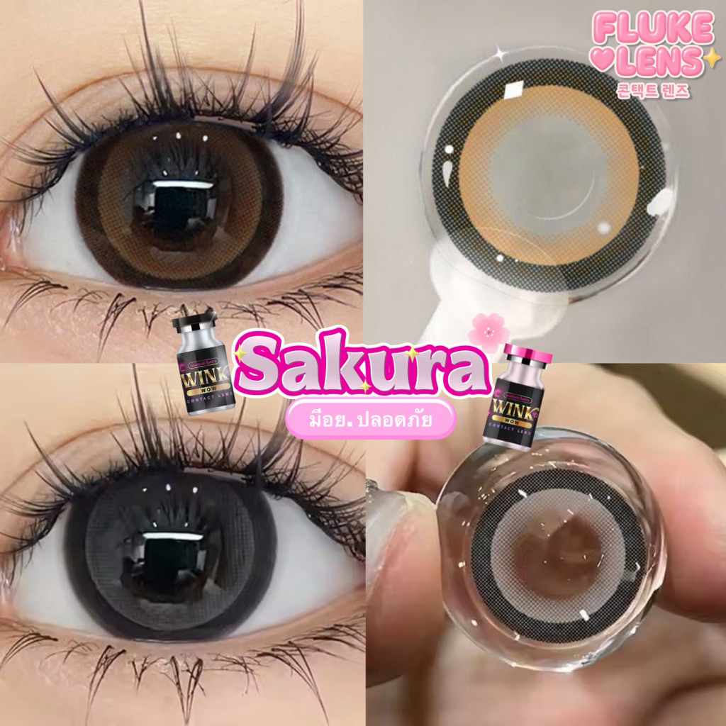 ✅New Lot 🌸 Sakura 🌸 คอนแทคเลนส์(ตาโต) รุ่นยอดฮิต ซากุระ แบรนด์ winkwow roze ผลิตที่เกาหลี ของแท้ Made in Korea 🇰🇷