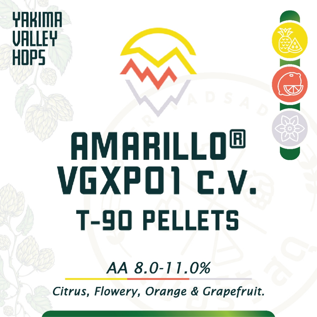 Amarillo Hops (56g)  มีกลิ่นและรสชาติของส้มที่หวาน เสริมด้วยกลิ่นดอกไม้ที่เบาๆ