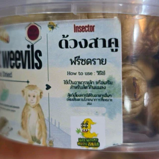 ด้วงสาคู ด้วงมะพร้าว หนอนด้วงสาคูฟรีซดราย 25g.สำหรับสัตว์ฟันแทะ