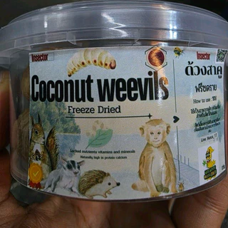 ด้วงสาคู ด้วงมะพร้าว หนอนด้วงสาคูฟรีซดราย 25g.สำหรับสัตว์ฟันแทะ