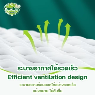 [ไซส์ M 3แพ็ค] Comfrey แพมเพิสผู้ใหญ่แบบกางเกง ราคาประหยัด