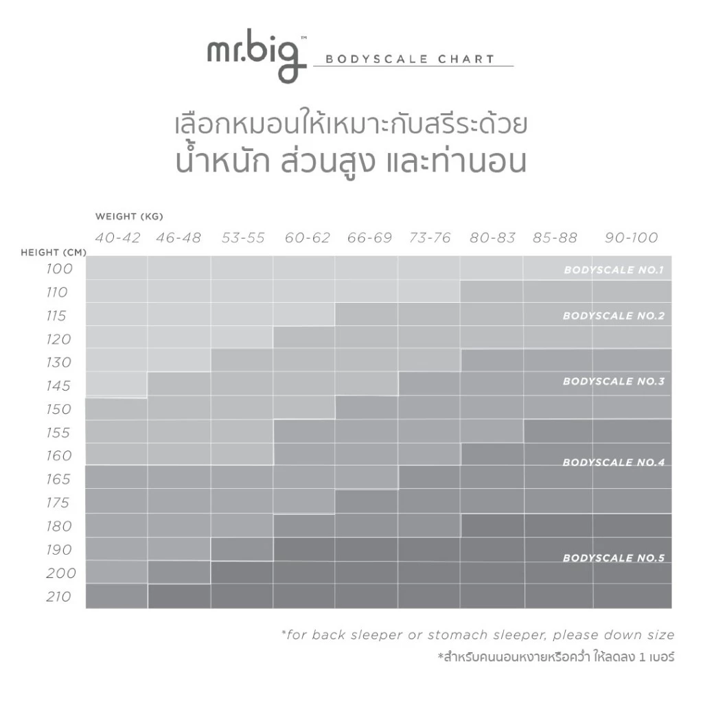 mr.big BodyScale Pillow หมอนหนุน Ergonomic เลือกตามน้ำหนัก/ส่วนสูง/ท่านอน ออกแบบโดยนักกายภาพบำบัดโดยข้อมูลจากสรีระคนไทย thumbnail 3