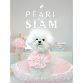 ชุดไทยประยุกต์ Pearl SIAM Purrpet