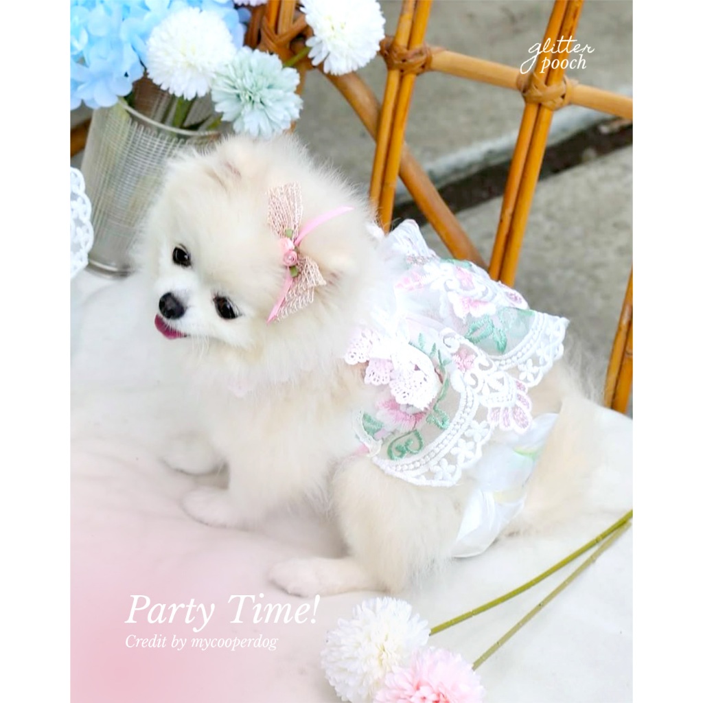 Glitter Pooch Harness ชุดรัดอก สายจูง เสื้อผ้า สุนัข, หมา, แมว, สัตว์เลี้ยง พร้อม สายจูง รุ่น Blossom Belle