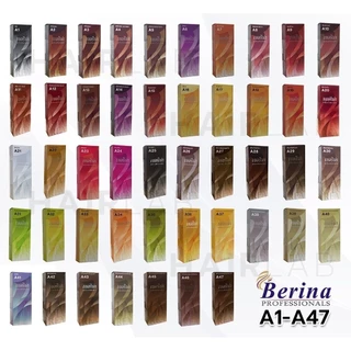 เบอริน่า A1 - A47 สี ย้อม ผม Berina hair color น้ำยา เปลี่ยน สี