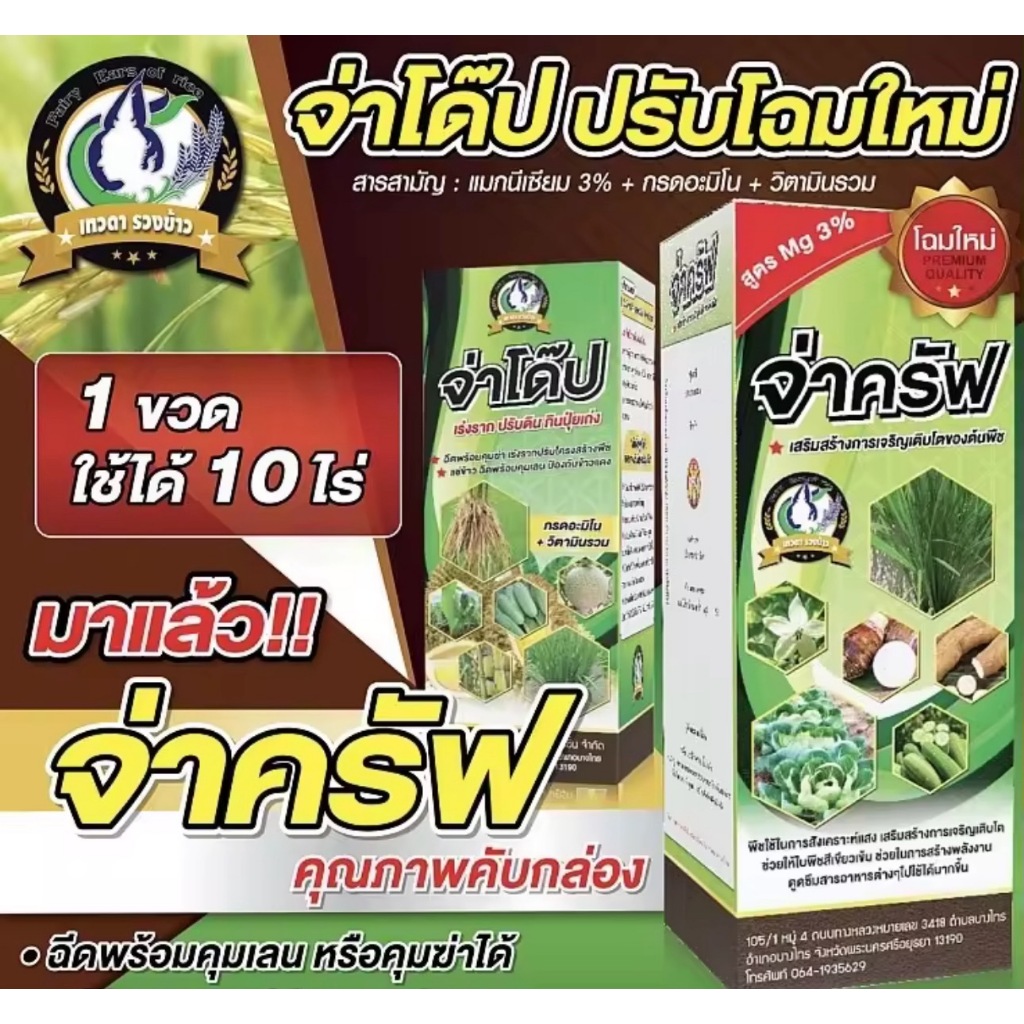 (ชุดคุมเลนรวบน้ำ 10ไร่) จ่าซีโร่2ชุด+จ่าครัฟ1ขวด+แอคติ้ง1กล่อง (เพลี้ยไฟ)