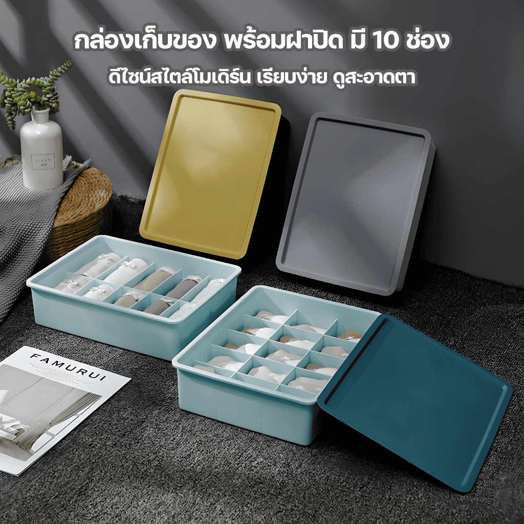 MOMOMART กล่องเก็บของ พลาสติก กล่องเก็บชุดชั้นใน 10 ช่อง พร้อมฝาปิด รุ่น MD1-009