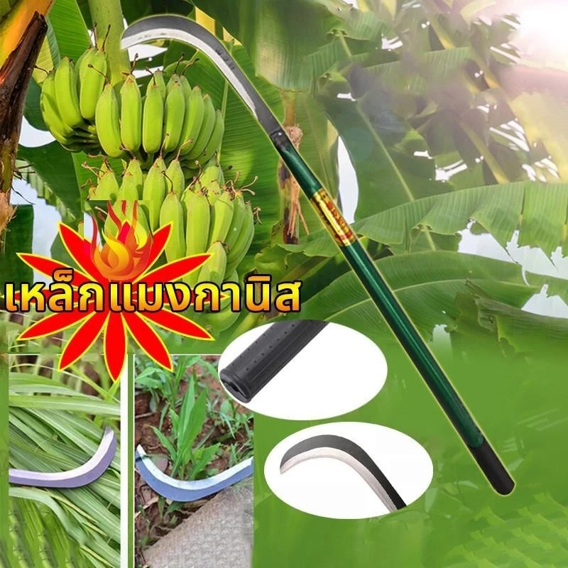 มีด มีดเหล็กแมงกานีส เครื่องตัดหญ้า กรรไกรตัดกิ่งไม้ มีดทำสวน มีดกล้วย (ใช้ตัดไม้ ตัดหญ้า และแต่งกิ่ง)