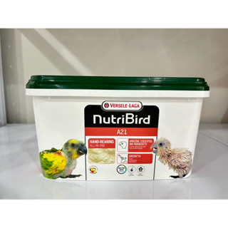 Nutribird A21 (ฝาเขียว) 3 Kg อาหารลูกป้อนนูทรีเบิร์ด