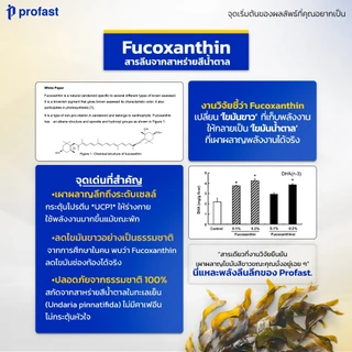 [4แถม2] profast (โปรฟาสต์) วิตามินเผาผลาญ เม็ดลีน อาหารเสริม