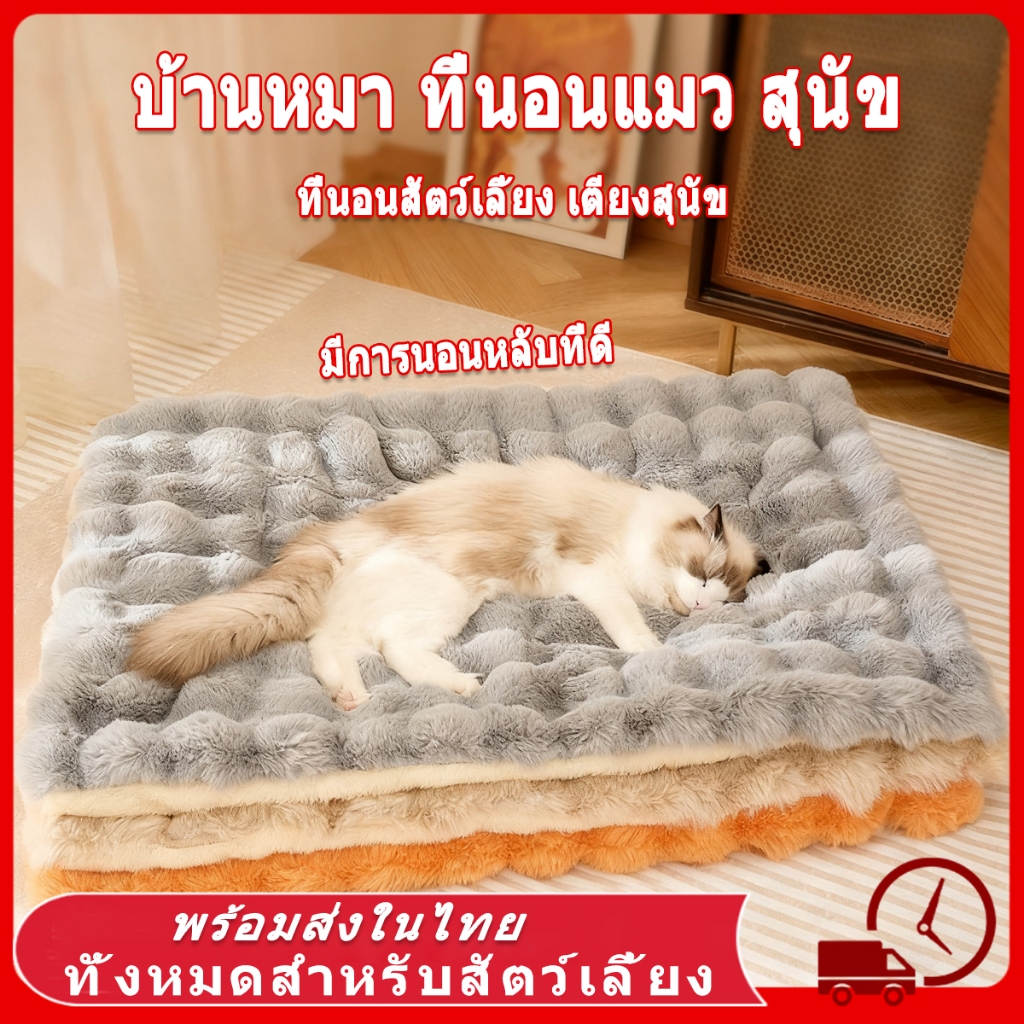 💤 ที่นอนสัตว์เลี้ยง ที่นอนแมวใหญ่ เบาะหมา ถุงนอนแมว เตียงสุนัข เตียงแมว เบาะสัตว์เลี้ยง นุ่มสบาย ด้านล่างมีกันลื่น