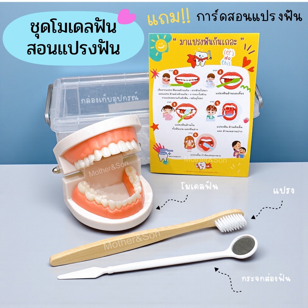 สื่อการสอน โมเดลฟัน เซ็ต 5 ชิ้น ชุดสอนแปรงฟันโมเดลฟันจำลอง  & ของเล่นเตียงเด็กทำฟัน