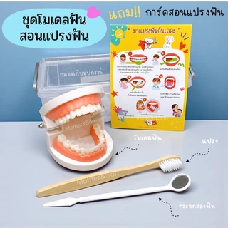 สื่อการสอน โมเดลฟัน เซ็ต 5 ชิ้น ชุดสอนแปรงฟันโมเดลฟันจำลอง & ของเล่นเตียงเด็กทำฟัน