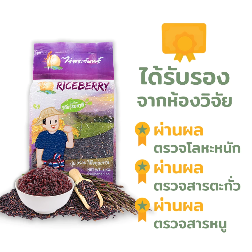 ข้าวไรซ์เบอร์รี่ คัดพิเศษ ปลอดสาร ไร่พระจันทร์ Riceberry thumbnail 5