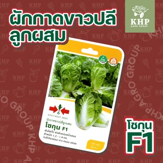 ขายส่ง ยกแพ็ต x 10 ซอง เมล็ดพันธุ์ผักซอง ศรแดง F1 คละชนิดได้ พันธุ์คัดพิเศษ F1- hybrid งอกดี โตไว ผลผลิตสูง