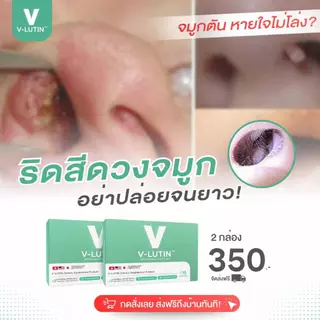 Velutin วีลูติน ไซนัสอักเสบ ริดสีดวงจมูก ภูมิแพ้เรื้อรัง ลดบวมไซนัส ริดสีดวงจมูก ภูมิแพ้เรื้อรัง หายใจโล่ง ลดเสมหะ