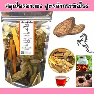 ยาดองสมุนไพร 14สูตร ยาดองเหล้า ใช้ดอง ใช้ต้ม