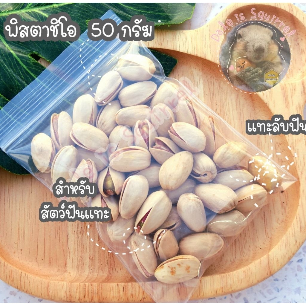 พิสตาชิโอ ดิบ pistachio [50 กรัม] แทะลับฟัน  อาหารสัตว์ อาหารสัตว์ขนาดเล็ก สัตว์ฟันแทะ อาหารกระรอก นก หนู แฮมสเตอร์