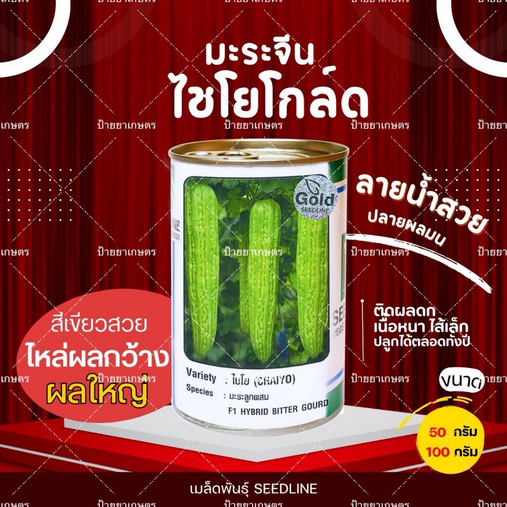 เมล็ดพันธุ์ มะระจีนไชโยโกล์ด F1 ขนาด 50กรัม 100กรัม ตราซีดไลน์ ผลสวย ลายน้ำชัด ผิวเขียวเงา