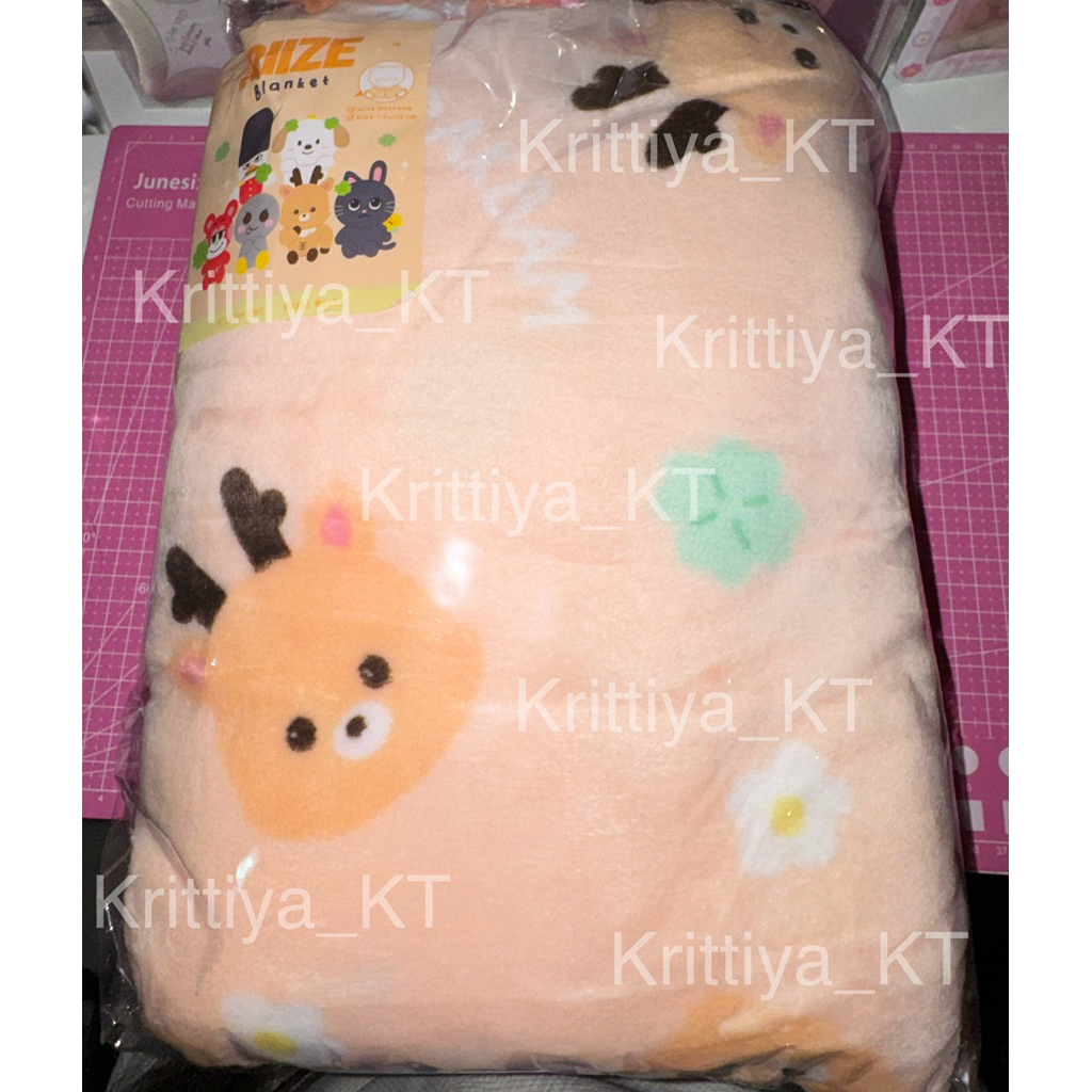 [พร้อมส่ง!]  ผ้าห่ม Moshimoshi x Riize🧡 น้องข้าว สินค้าพิเศษน้องข้าว