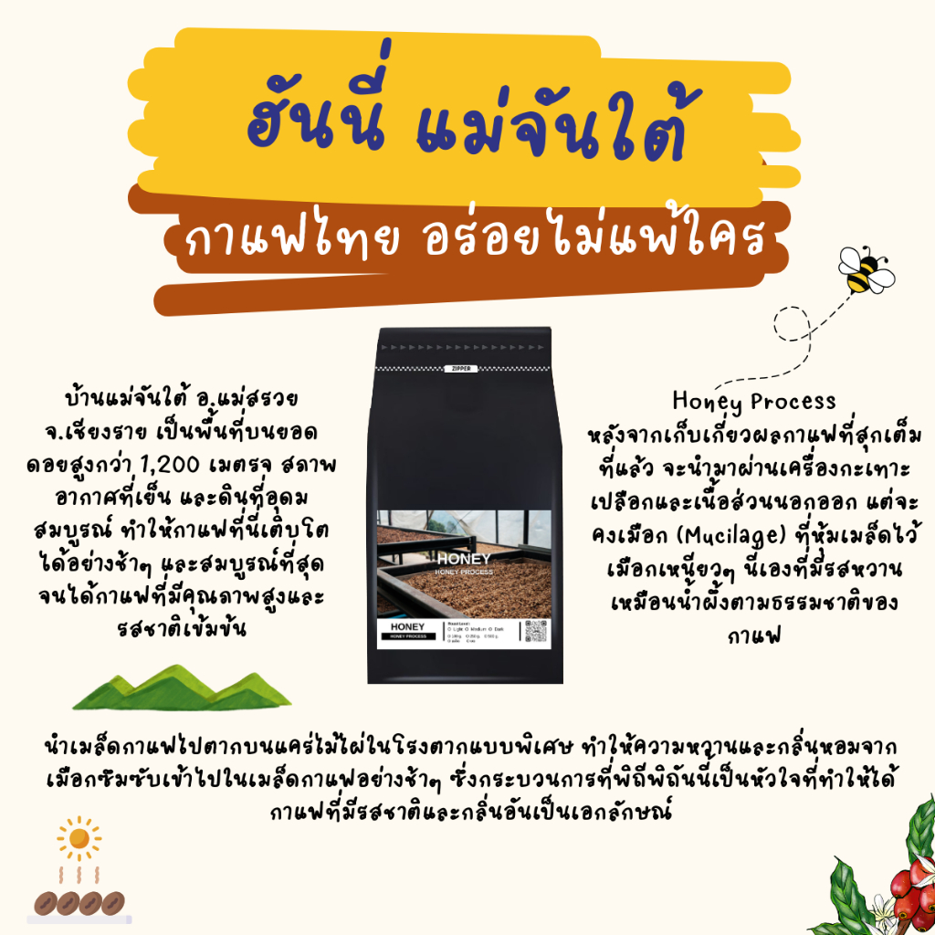 เมล็ดกาแฟ แม่จันใต้ เชียงราย | Honey Process | กาแฟฮันนี่ หวานธรรมชาติ
