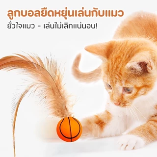 ชุดของเล่นแมว ลูกบอลและขนนก ของเล่นแมวเบื่อๆ เกมพักผ่อน ของเล่นแมว ลูกบอลขนนก ของเล่นลูกบอล