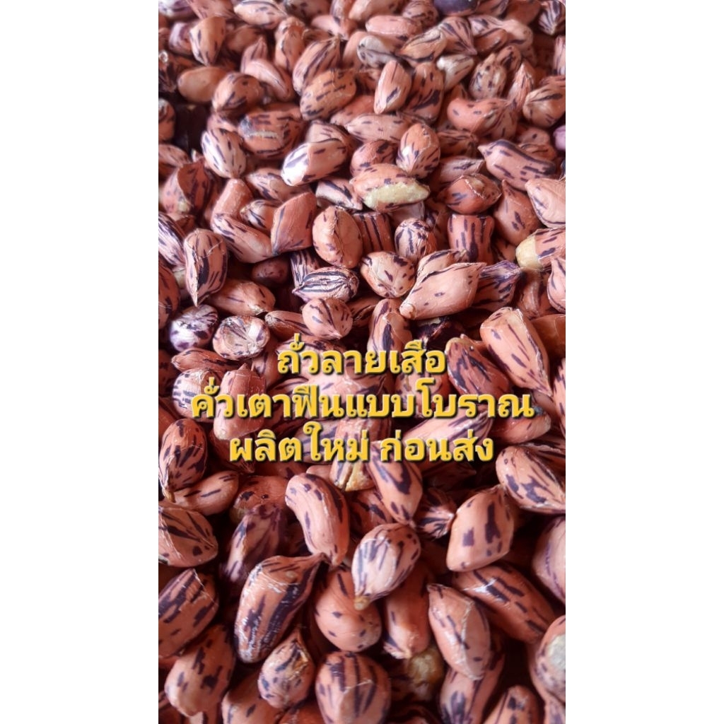 ถั่วลายเสือคั่วเกลือ ด้วยเตาฟืนโบราณ ผลิตใหม่พร้อมส่ง