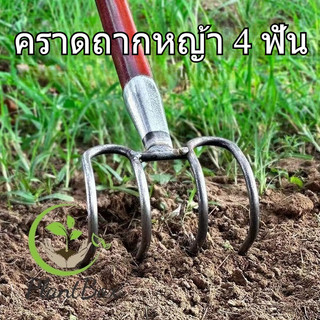 คราดถากหญ้า 4 ฟัน จอบคมๆ เหล็กแมงกานีส ทนทาน ขุดดิน ถางหญ้า ได้ทุกงานสวน