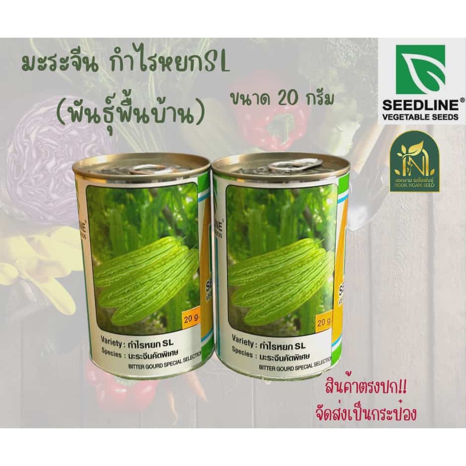 มะระจีนกำไรหยกSL ขนาด 20 กรัม พันธุ์พื้นบ้าน