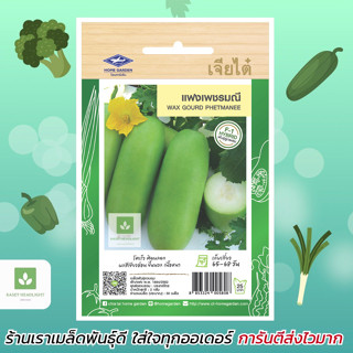 แฟงเพชรมณี เมล็ดพันธุ์แฟง เจียไต๋ 25เมล็ด/ซอง