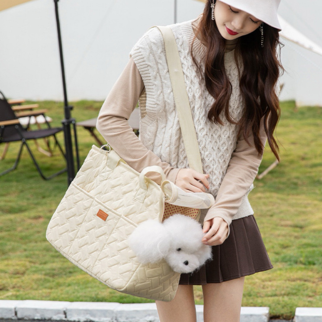 petcare (ส่งจากไทย) #ลายไทย 🇰🇷 กระเป๋าเเมวกระเป๋าหมาระบายอากาศได้ดีสีโปร่งใส สไตล์เกาหลี เเมว สุนัข กระเป๋าเป้สะพายหลัง รูปที่ 3