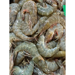 กุ้งนิ่ม กุ้งเปลือกนิ่ม (กุ้งเลี้ยง) 20-25 ตัวต่อกิโล