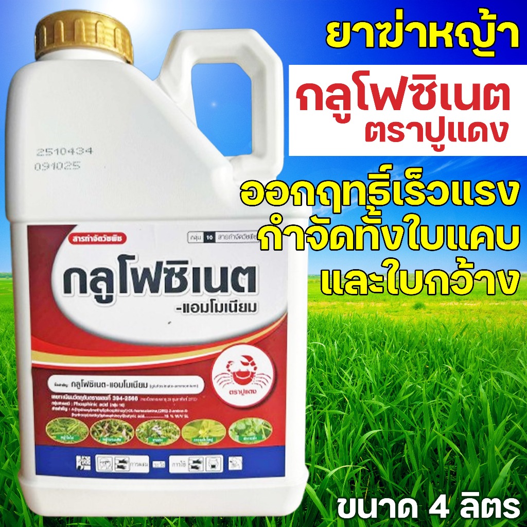 กลูโฟซิเนตประสิทธิภาพดี ขนาด 4 ลิตร ตรา ปูแดง เผาไหม้ดี รวดเร็ว ทนฝนดี ส่งเร็ว มีเก็บปลายทาง