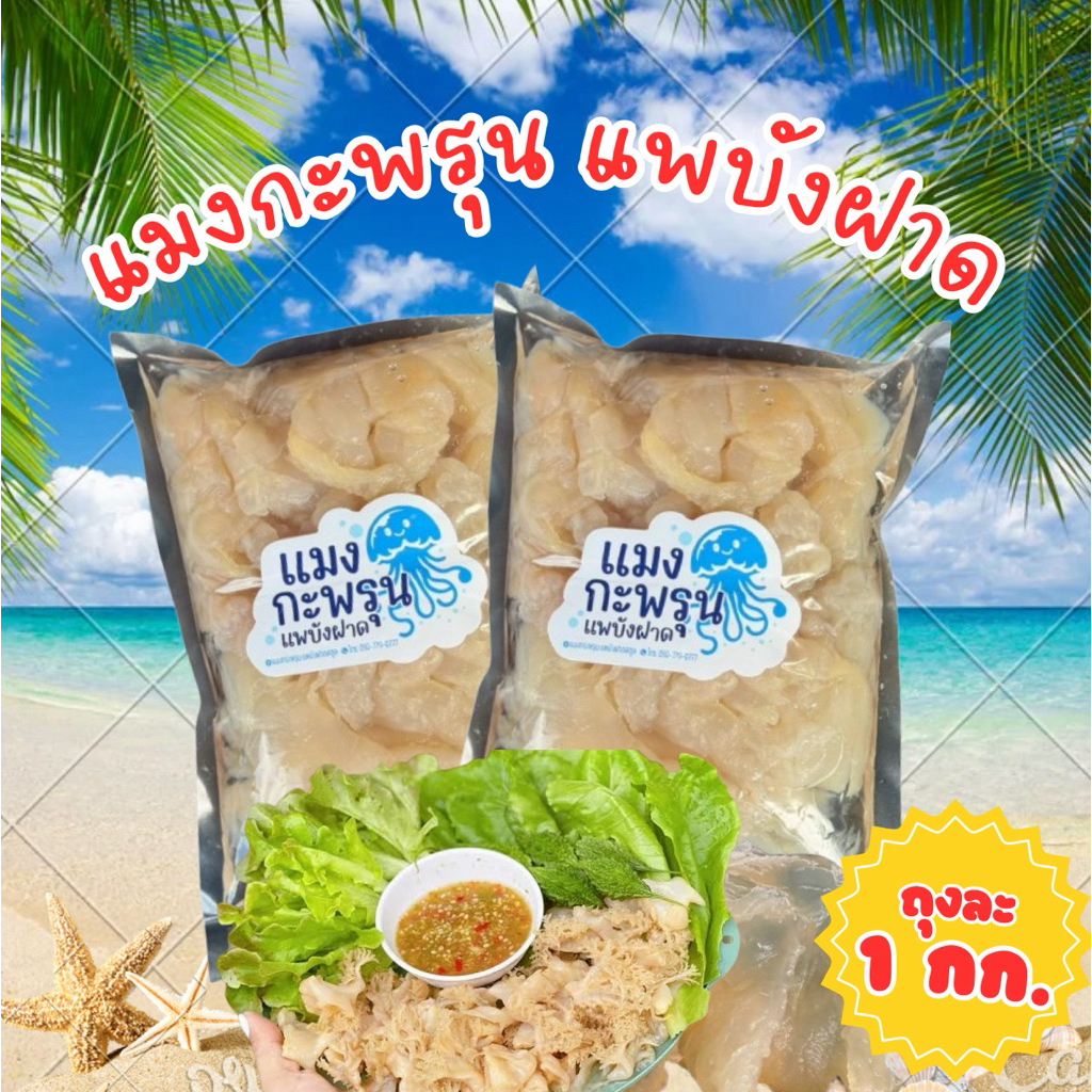 แมงกะพรุนแพบังฝาด ล้างจืด